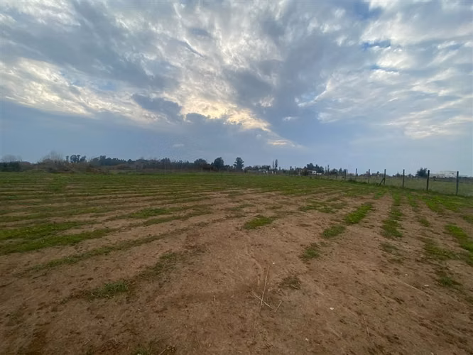 Parcela en venta con laguna y bosque, Talca