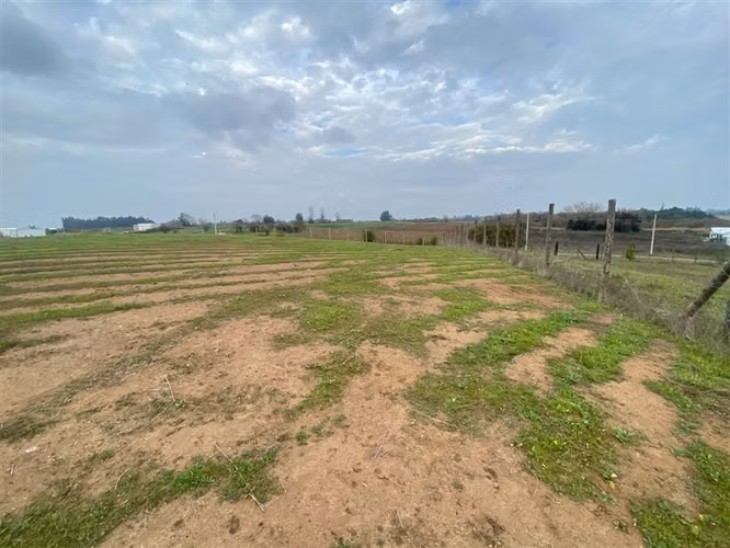 Parcela en venta con laguna y bosque, Talca - Imagen 23