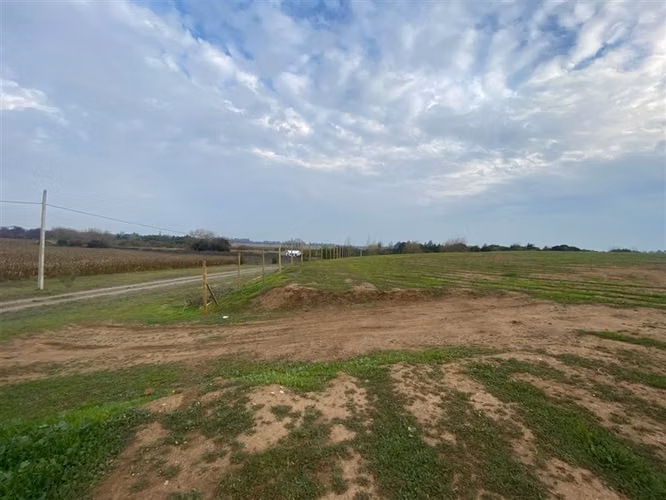 Parcela en venta con laguna y bosque, Talca