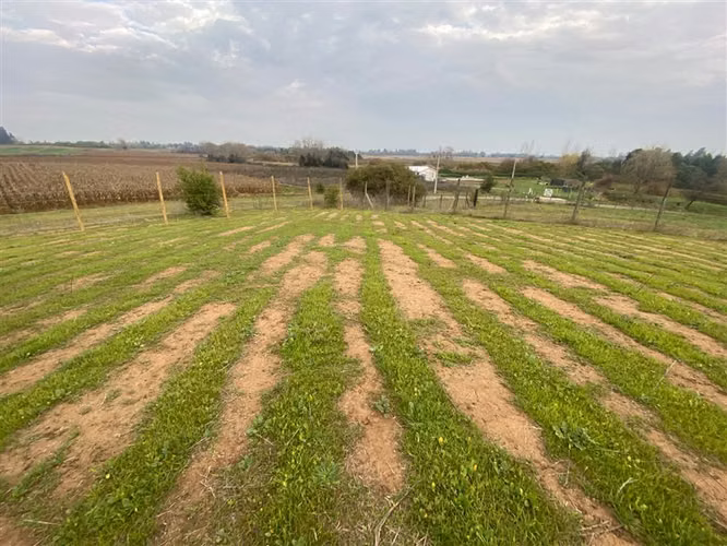 Parcela en venta con laguna y bosque, Talca