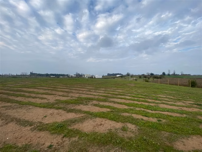 Parcela en venta con laguna y bosque, Talca