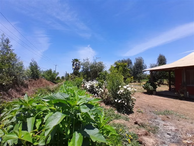Se Vende parcela de 6800 m, con casa de 3 dorm. y 1 baño