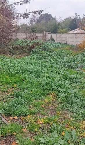 Se vende sitio urbano de 722 m2 en Talca - Imagen 6