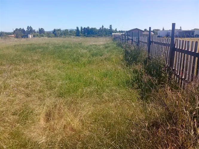 En venta terreno de 5.000 m2 en Numpay, Maule.