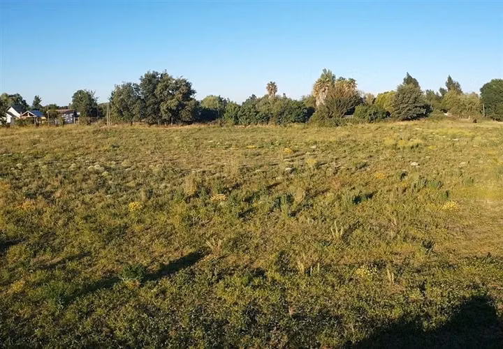 Se venden Parcelas de 5.000 m2 Pangue Abajo, San Rafael - Imagen 5