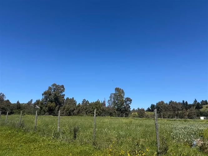 Se vende parcela en Alto la Viña, sector oriente de Talca