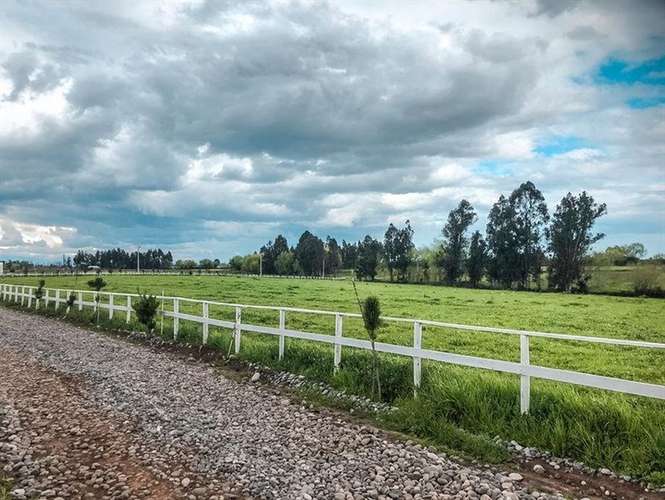 ESPECTACULAR PARCELA EN VENTA HARAS DE HUILQUILEMU TALCA - Imagen 3