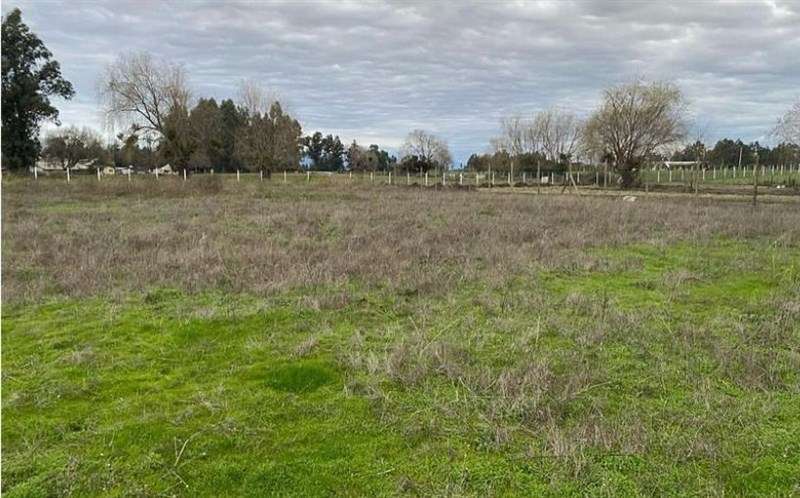 ESPECTACULAR PARCELA EN VENTA HARAS DE HUILQUILEMU TALCA - Imagen 7
