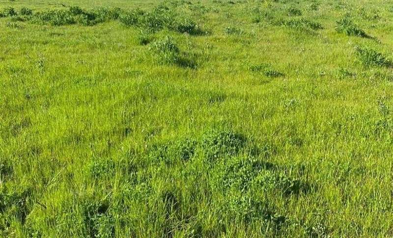 ESPECTACULAR PARCELA EN VENTA HARAS DE HUILQUILEMU TALCA - Imagen 5