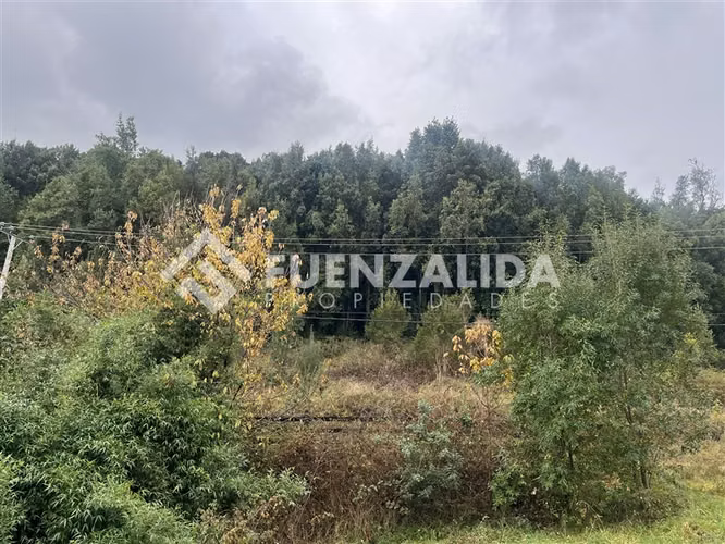 Arrendamos tinyhouse en Condominio de Nueva Braunau