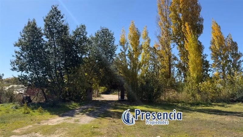 casa en arriendo con terreno de 1 hectárea en Pencahua