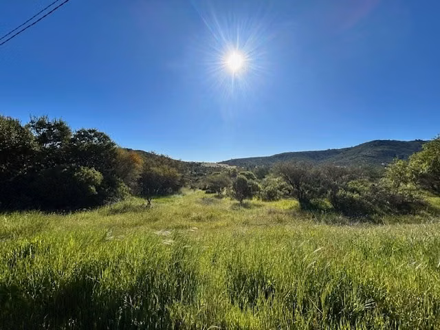 Loteo 19 Terrenos de 5.000 m2 en Venta en Maule Talca