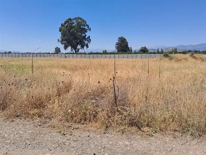 Oportunidad 2 parcelas contiguas 5.000 m2 c/u, Teno, Curicó