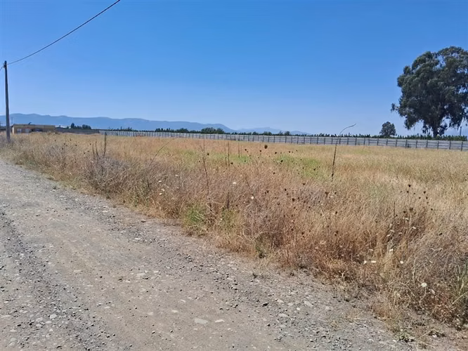 Oportunidad 2 parcelas contiguas 5.000 m2 c/u, Teno, Curicó