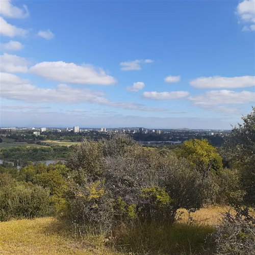 En Venta Parcelas en Talca. Loteo Las Tejas.