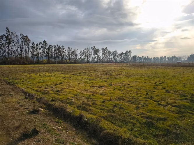En venta 5 parcelas de 5.000 m2 c/u San Clemente. - Imagen 10