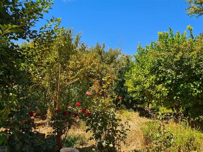 Parcela en Venta en Pelarco - Imagen 11