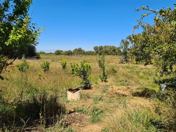 Parcela en Venta en Pelarco - Imagen 12