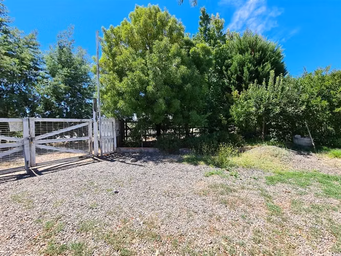 Parcela en Venta en Pelarco - Imagen 10