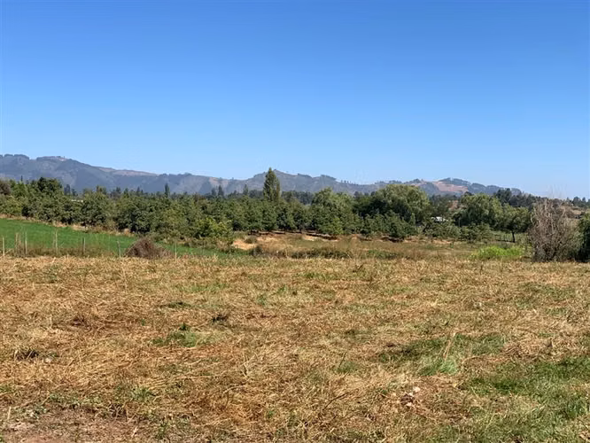 Se vende parcela de 7.300 m2 Los Montes San Clemente - Imagen 4