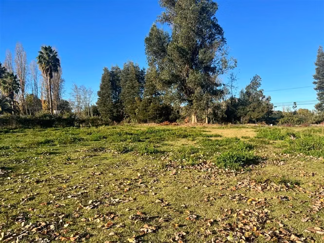 Parcela 5000 metroa a sólo 5 km de San Javier