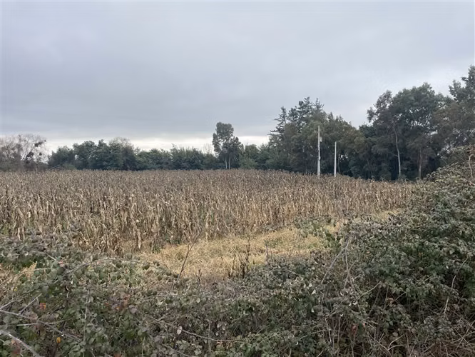 Parcela en venta en Talca , Km 10 Las Rastras