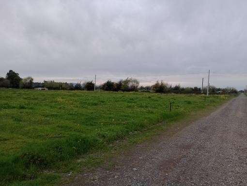 PARCELA EN VENTA EN GRANJA MARIA - SAN CLEMENTE - Imagen 7
