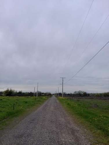 PARCELA EN VENTA EN GRANJA MARIA - SAN CLEMENTE - Imagen 9