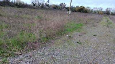 PARCELA EN VENTA EN GRANJA MARIA - SAN CLEMENTE - Imagen 5