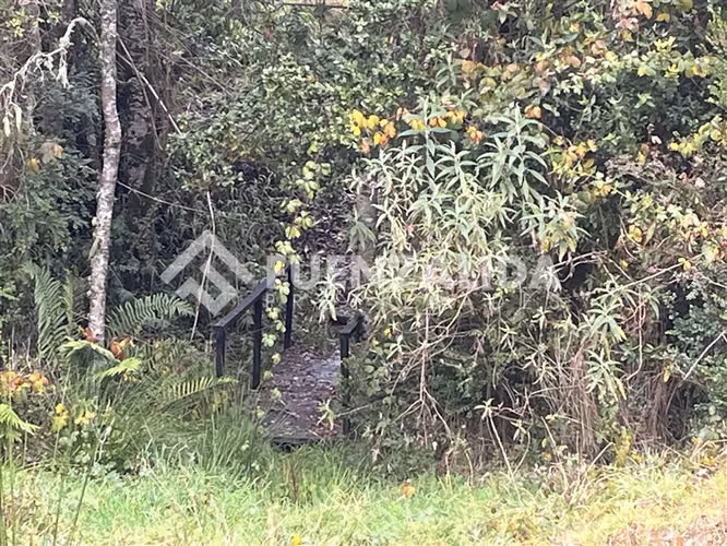 Arrendamos casa nueva en condominio de Nueva Braunau