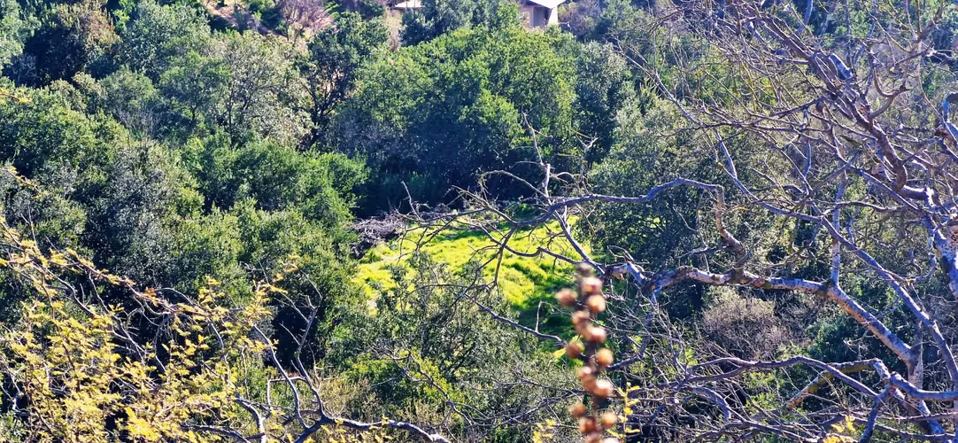 Venta de parcela de 6.000 m2., en Condominio exclusivo en Lo Orozco, Quilpué, 45 M$