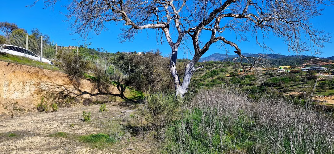 Venta de parcela de 6.000 m2., en Condominio exclusivo en Lo Orozco, Quilpué, 45 M$