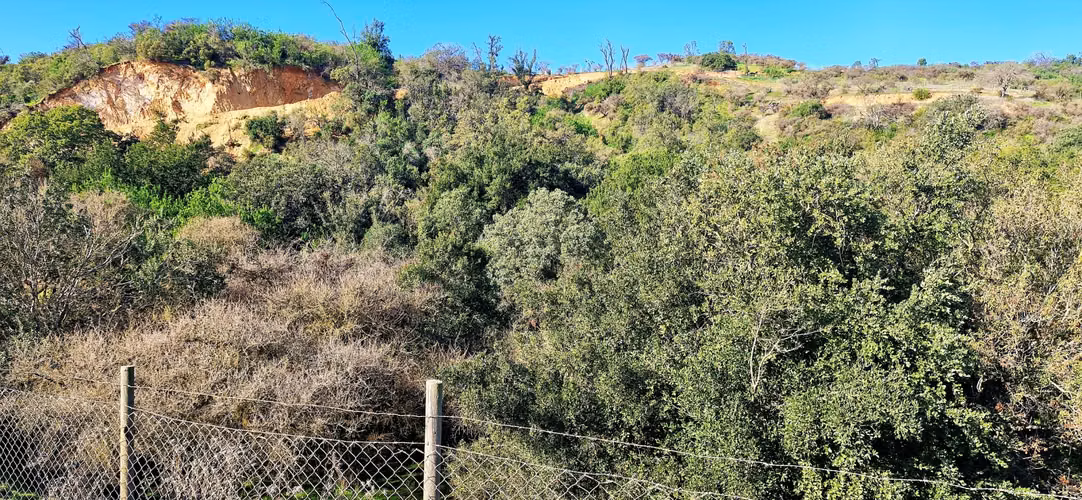 Venta de parcela de 6.000 m2., en Condominio exclusivo en Lo Orozco, Quilpué, 45 M$