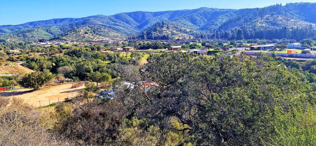 Venta de parcela de 6.000 m2., en Condominio exclusivo en Lo Orozco, Quilpué, 45 M$