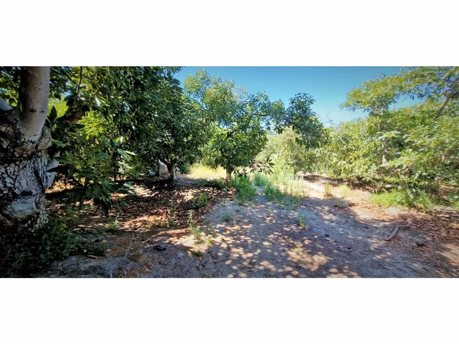 Venta de parcela con casa de 1 dormitorio, en Condominio exclusivo en La Cruz. 5.857 UF.