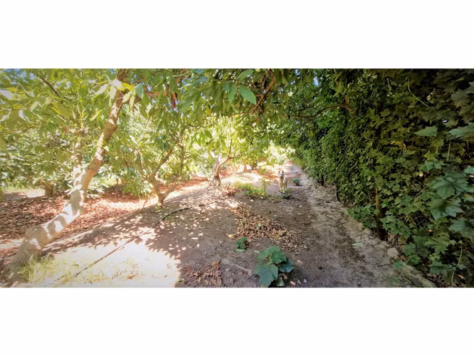 Venta de parcela con casa de 1 dormitorio, en Condominio exclusivo en La Cruz. 5.857 UF.