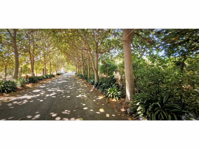 Venta de parcela con casa de 1 dormitorio, en Condominio exclusivo en La Cruz. 5.857 UF.