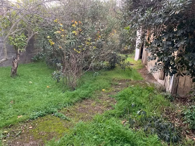 Se Vende Terreno Urbano de 600 m2 en Alameda - Imagen 5