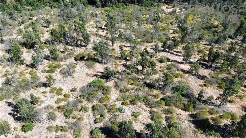 Parcela en venta en Limache