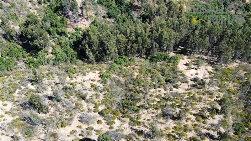 Parcela en venta en Limache
