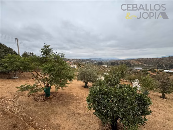 Parcela en venta en Limache