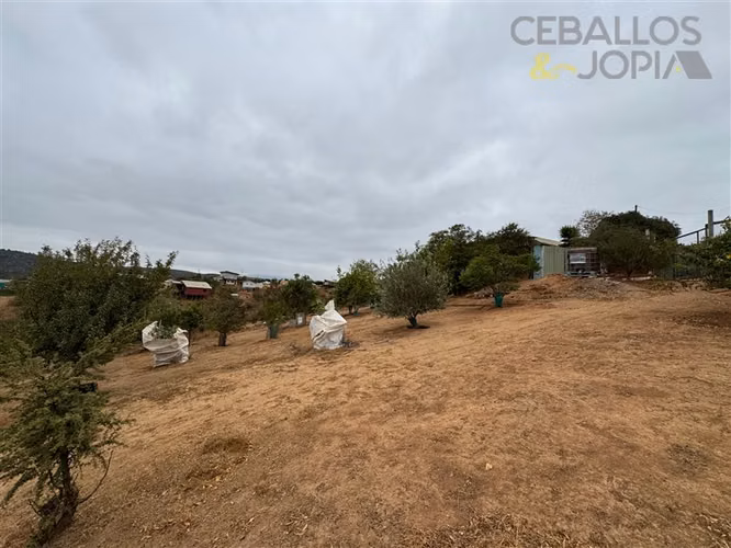 Parcela en venta en Limache