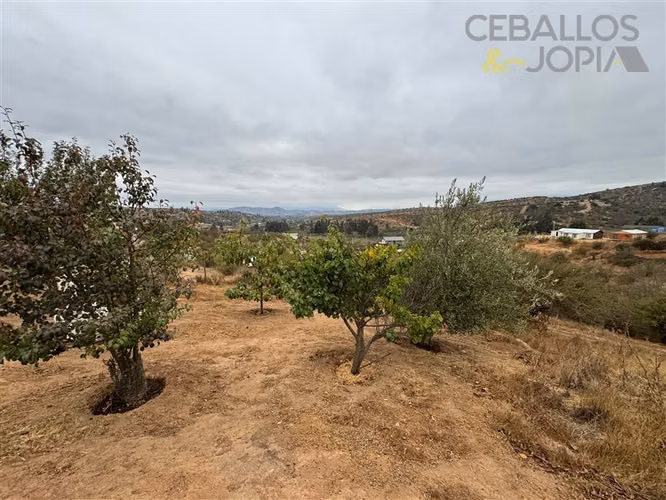 Parcela en venta en Limache