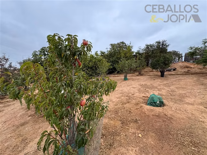 Parcela en venta en Limache