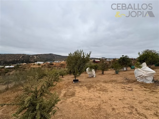 Parcela en venta en Limache