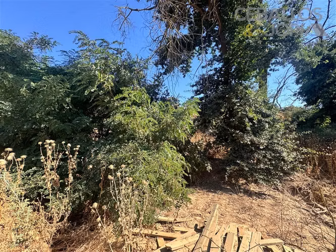 Parcela en venta en Limache
