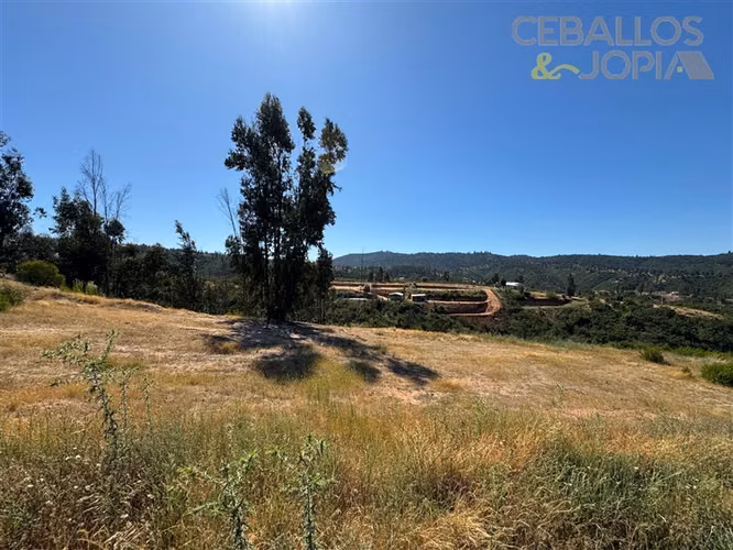 Parcela en venta en Limache
