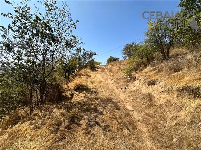 Parcela en venta en Limache
