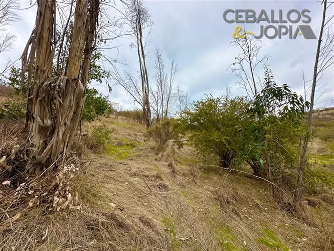 Parcela en venta en Limache