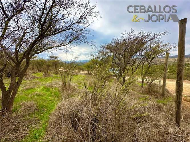 Parcela en venta en Limache